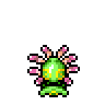 Cradily