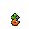 Bonsly