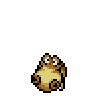 Hippopotas